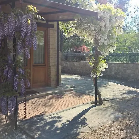 Il Garofano * בטונה